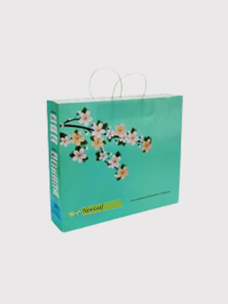 Paper Bags